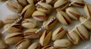 پسته اکبری
